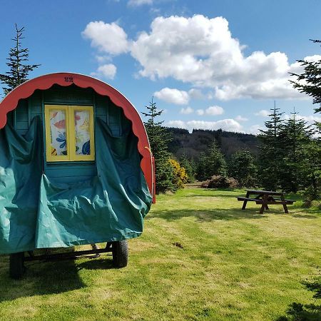 Clissmann Horse Caravans Glamping Rathdrum Exterior foto