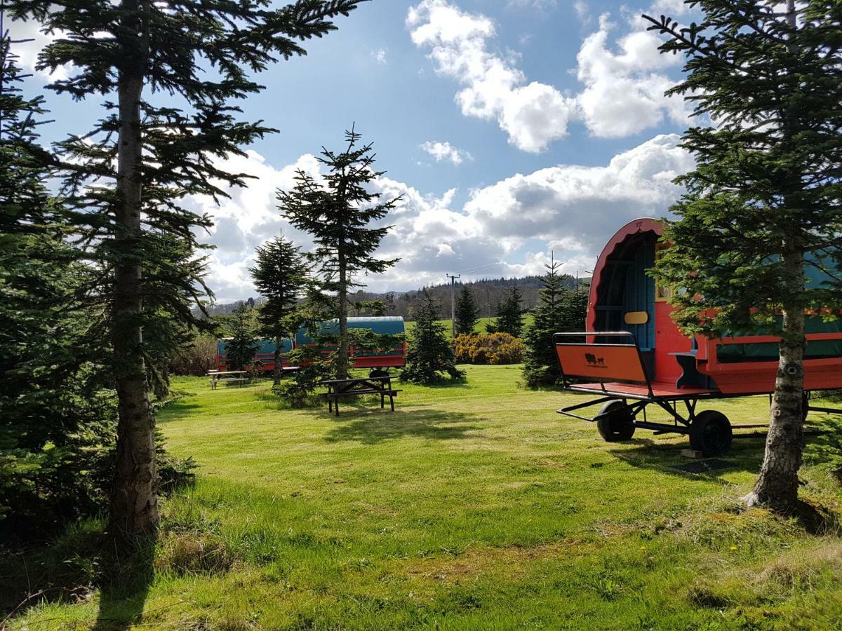 Clissmann Horse Caravans Glamping Rathdrum Exterior foto