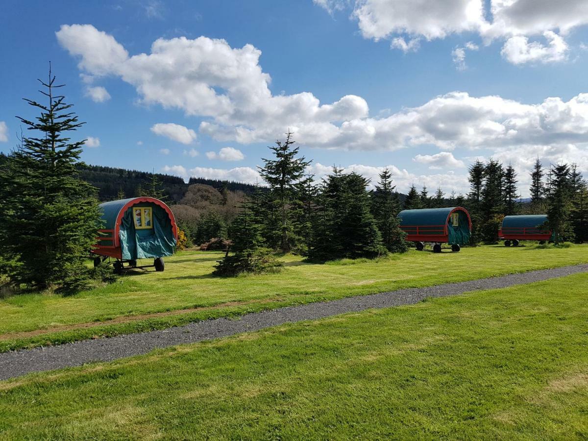 Clissmann Horse Caravans Glamping Rathdrum Exterior foto