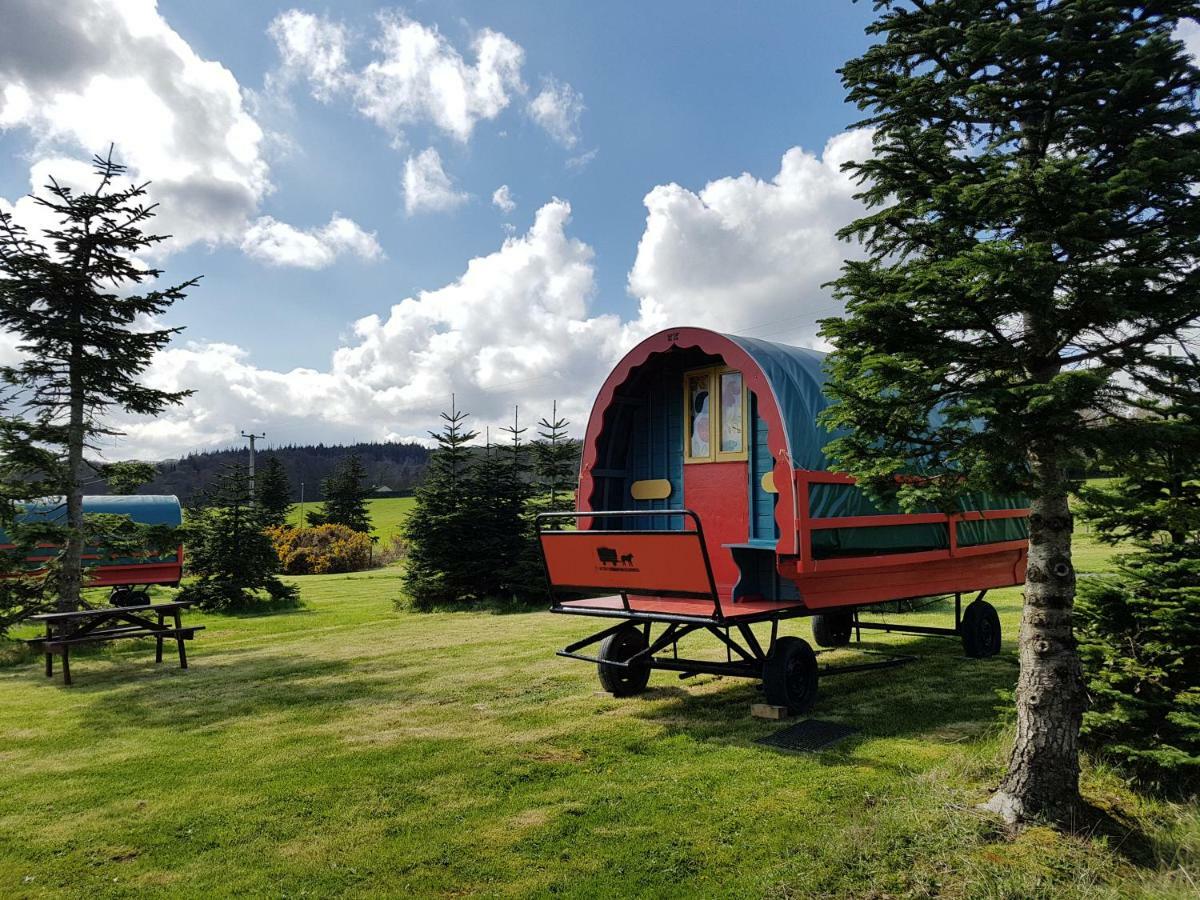 Clissmann Horse Caravans Glamping Rathdrum Exterior foto