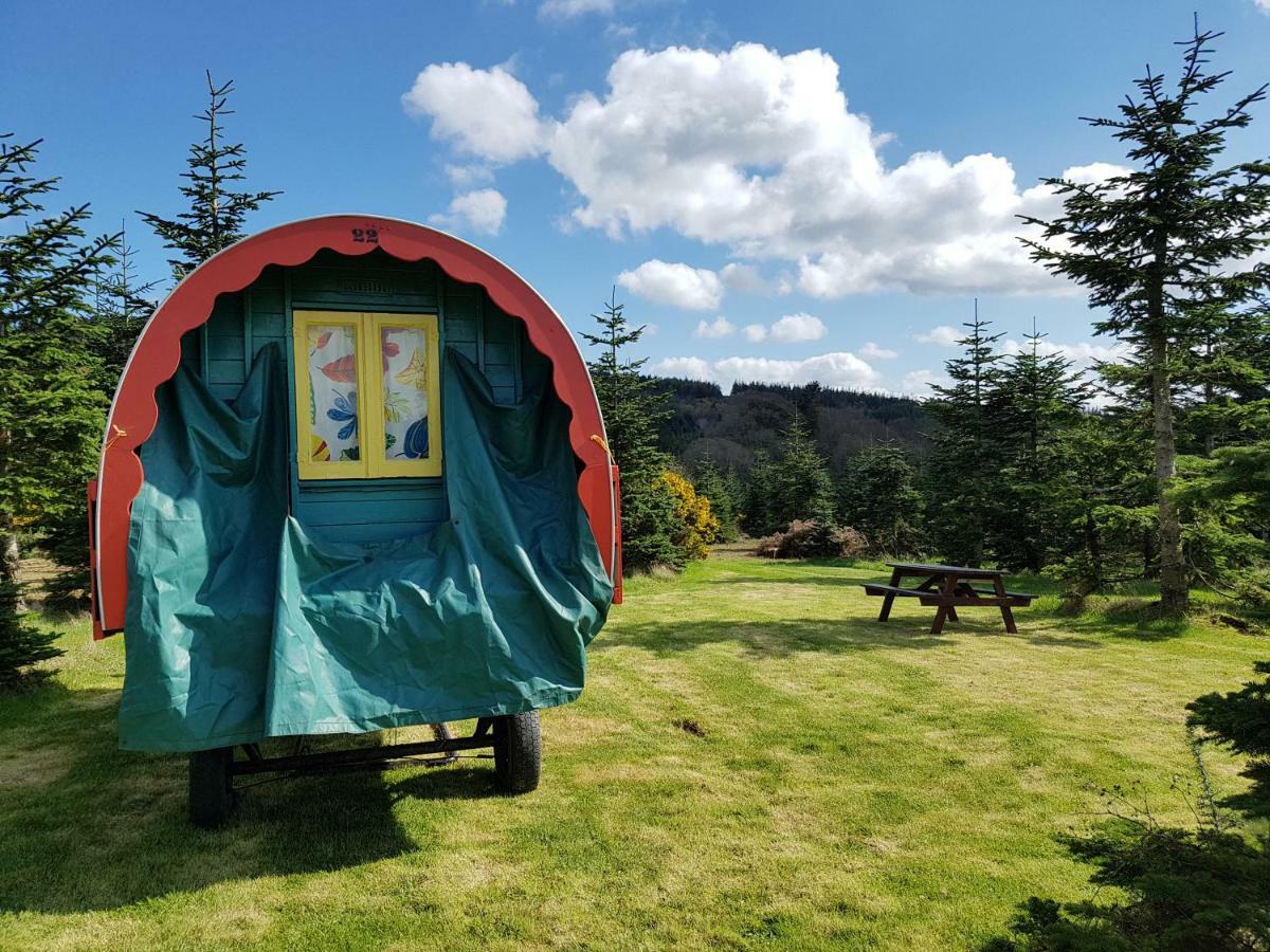 Clissmann Horse Caravans Glamping Rathdrum Exterior foto