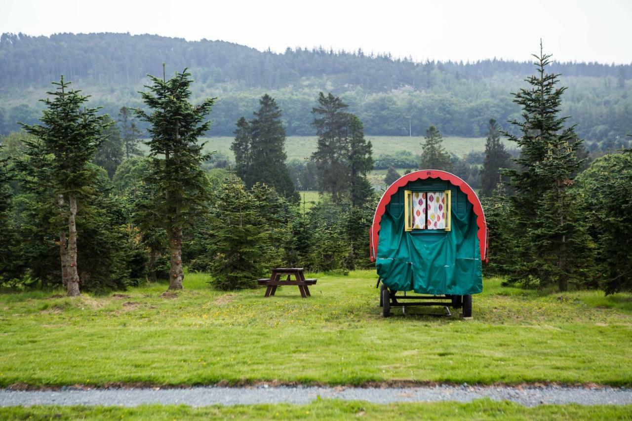 Clissmann Horse Caravans Glamping Rathdrum Exterior foto