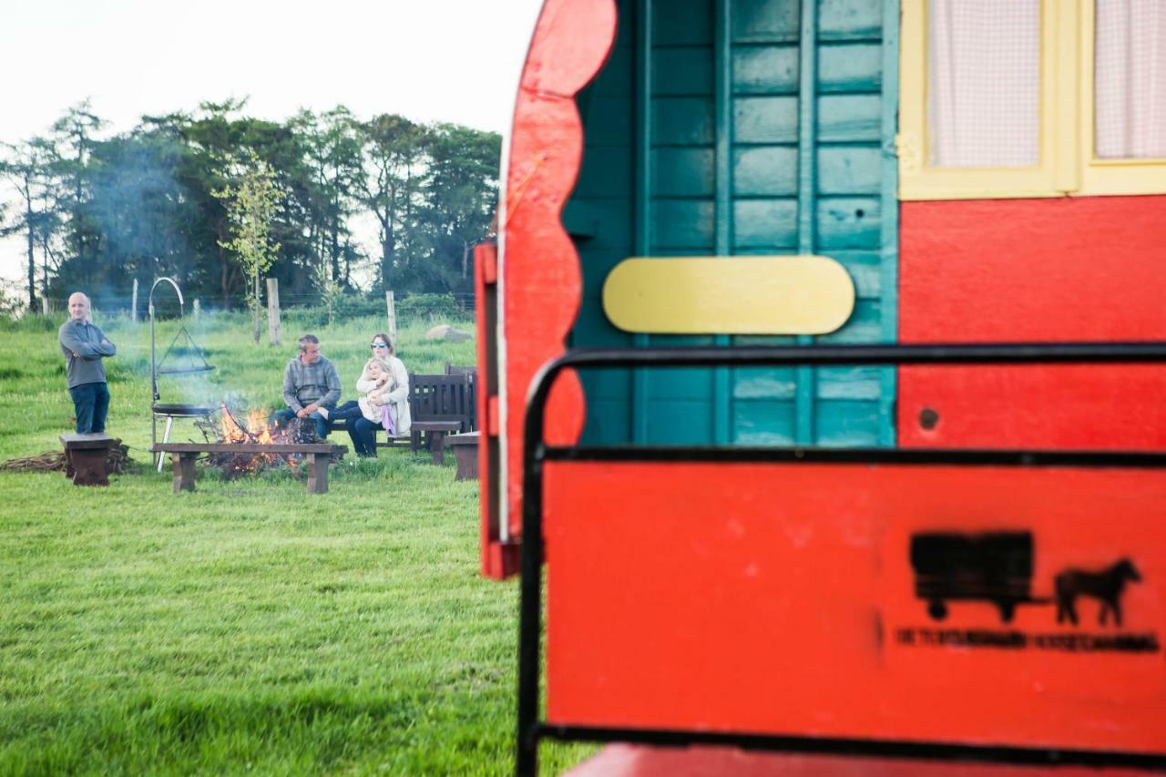 Clissmann Horse Caravans Glamping Rathdrum Exterior foto